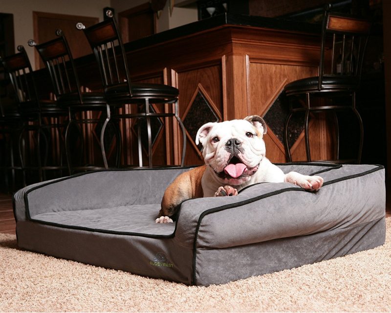 "buddyrest memory foam dog bed"