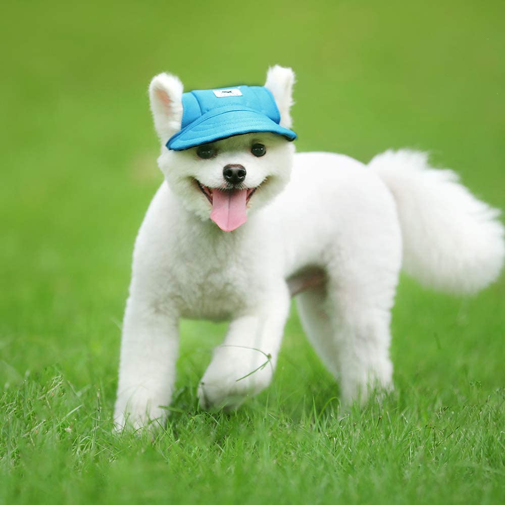 Dog hats